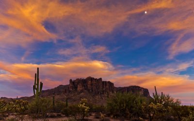 APS Drops Its 100% Clean Energy Pledge