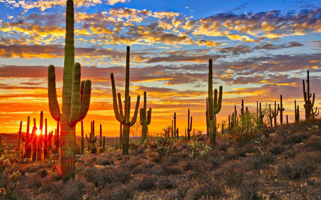 Beyond Labor and Materials: The Real Risks in Utility Construction Projects Nobody Talks About